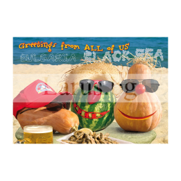 Пощенска картичка България BG 0146