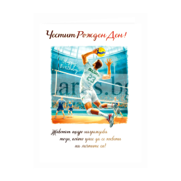 Картичка за рожден ден Спорт волейбол, ПД 1009 1-PD-1009