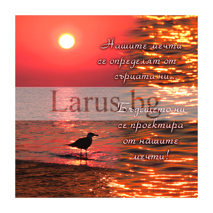 Поздравителна картичка ,,На залез слънце"- ПЕ 0032 1-PE-0032