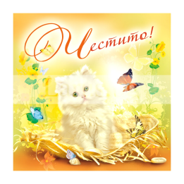 Мини картичка с бяло коте - Честит празник