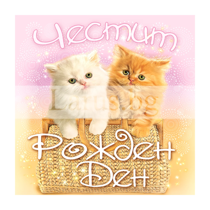 Мини картичка за рожден ден с котета - 1-PM-0228