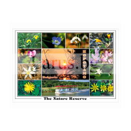 Пощенска картичка Ропотамо, България - Природа и резервати