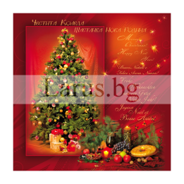 Зимна двойна картичка 0479 1-ZD-0479