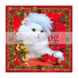 Зимна двойна картичка 0659 1-ZD-0659