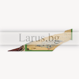 Пощенска картичка Албена 1-AL-0088