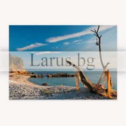 Пощенска картичка Черно море, България | 1-BG-0100