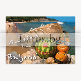 Пощенска картичка България 1-BG-0131