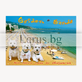 Пощенска картичка Златни Пясъци 1-GS-0189