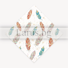 Опаковъчна хартия с цветни пера 99x68 см | 14-PG-0079