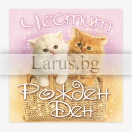 Мини картичка за рожден ден с котета - 1-PM-0228