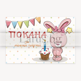 Детска покана за рожден ден - ПМ 0312