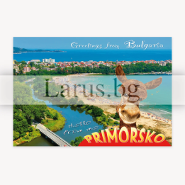 Пощенска картичка Приморско 1-PR-0091