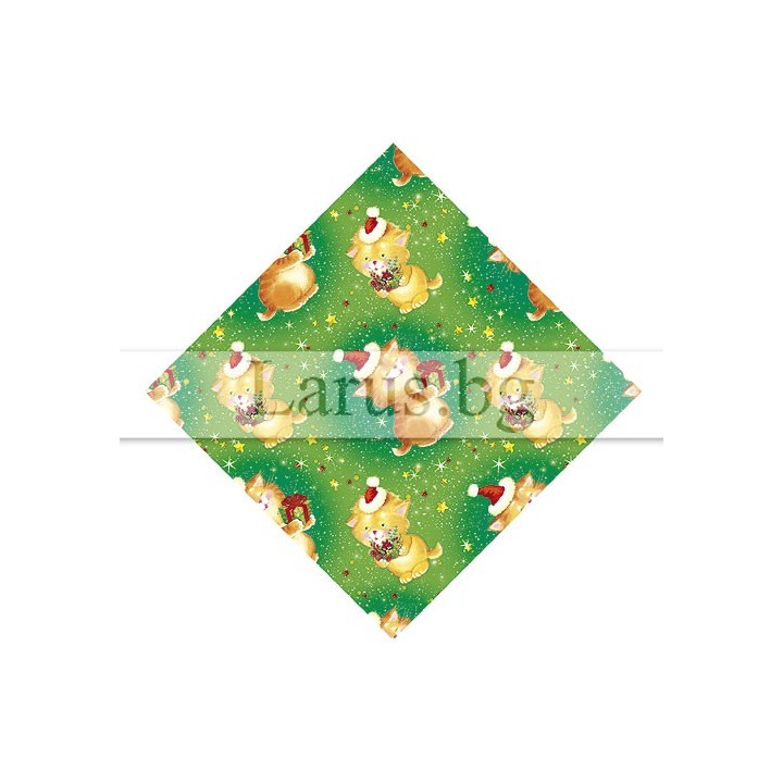 ПХ 0022 14-PG-0022