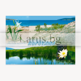 Пощенска картичка Ропотамо 1-RO-0016