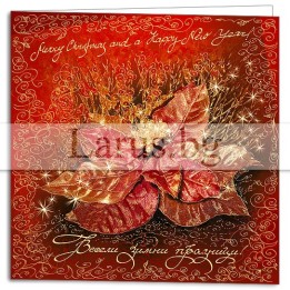 Луксозна коледна картичка с коледна звезда и златно фолио | 1-ZD-0288