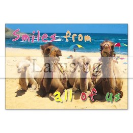 Магнитен сувенир с камили и надпис Smiles from all of us