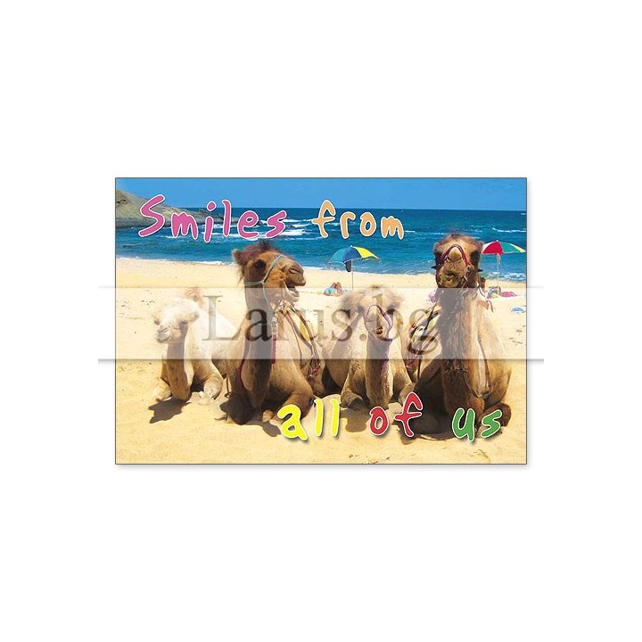 Магнитен сувенир с камили и надпис Smiles from all of us