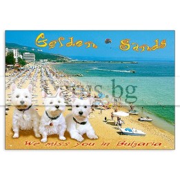 Пощенска картичка Златни пясъци - GS-0189