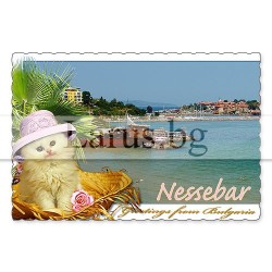 Пощенска картичка Несебър 1-NE-0195