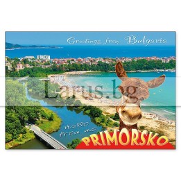 Пощенска картичка Приморско 1-PR-0091