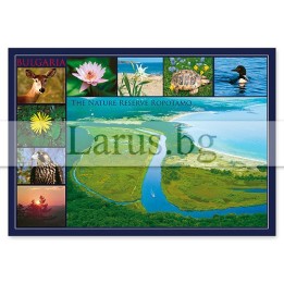 Пощенска картичка Ропотамо 1-RO-0010