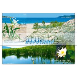 Пощенска картичка Ропотамо 1-RO-0016