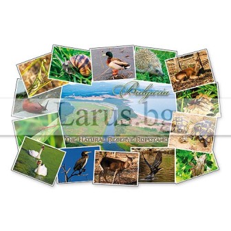 Пощенска картичка Ропотамо 1-RO-0023