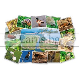 Пощенска картичка Ропотамо 1-RO-0023