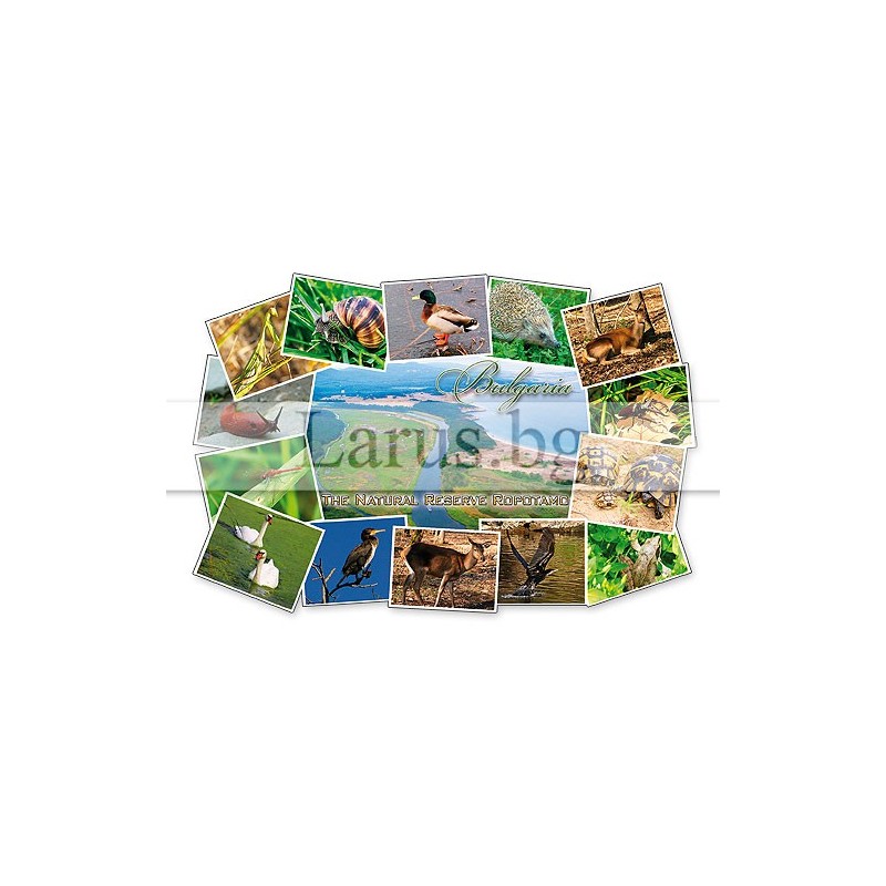 Пощенска картичка Ропотамо 1-RO-0023