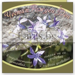 Картичка за рожден ден ,,Никога не се предавай" -ПД 0509 1-PD-0509