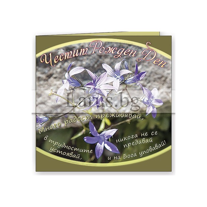 Картичка за рожден ден ,,Никога не се предавай" -ПД 0509 1-PD-0509