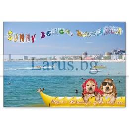 Пощенска картичка Слънчев Бряг SB 0551