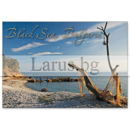 Пощенска картичка България 1-BG-0100