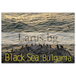 Пощенска картичка България 1-BG-0137