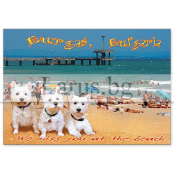 Пощенска картичка Бургас 1-BS-0069