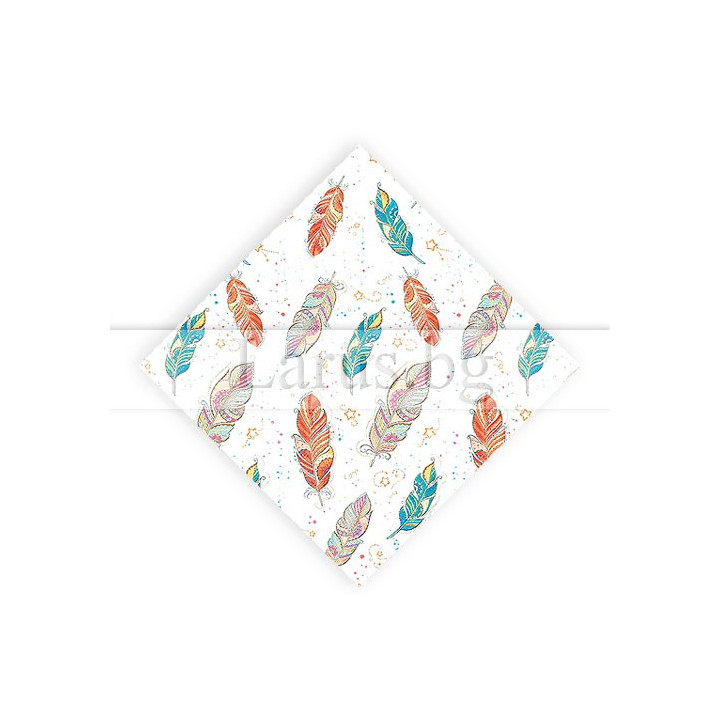 Опаковъчна хартия с цветни пера 99x68 см | 14-PG-0079