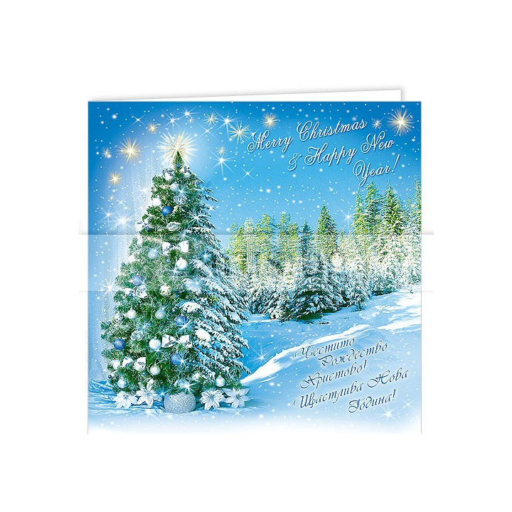 Зимна двойна картичка 0158 1-ZD-0158