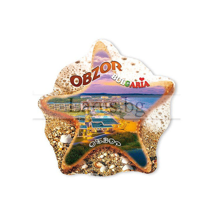 Магнитен сувенир Обзор - Морска звезда