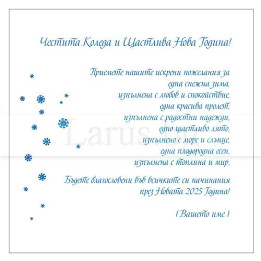 Примерно новогодишно вътрешно оформление 50 (стойността се уточнява по телефона) VO 50