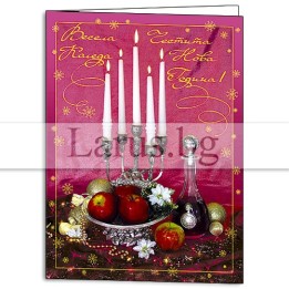 Зимна двойна картичка 0048 1-ZD-0048