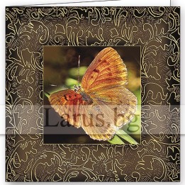 Поздравителна картичка с пеперуда - 1-PD-0077